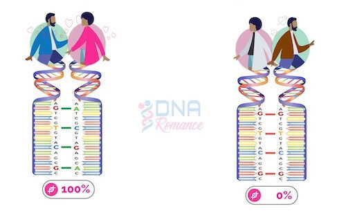 DNA Romance DRom1.0 Predicts Chemistry