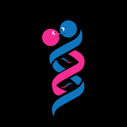 Ícono de la aplicación de citas DNA Romance