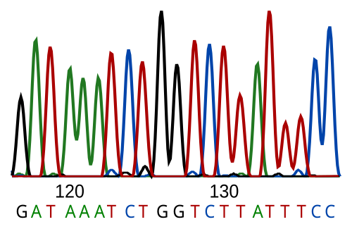 DNA sequence and online dating